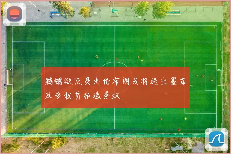 鹈鹕欲交易杰伦布朗或将送出墨菲及多枚首轮选秀权